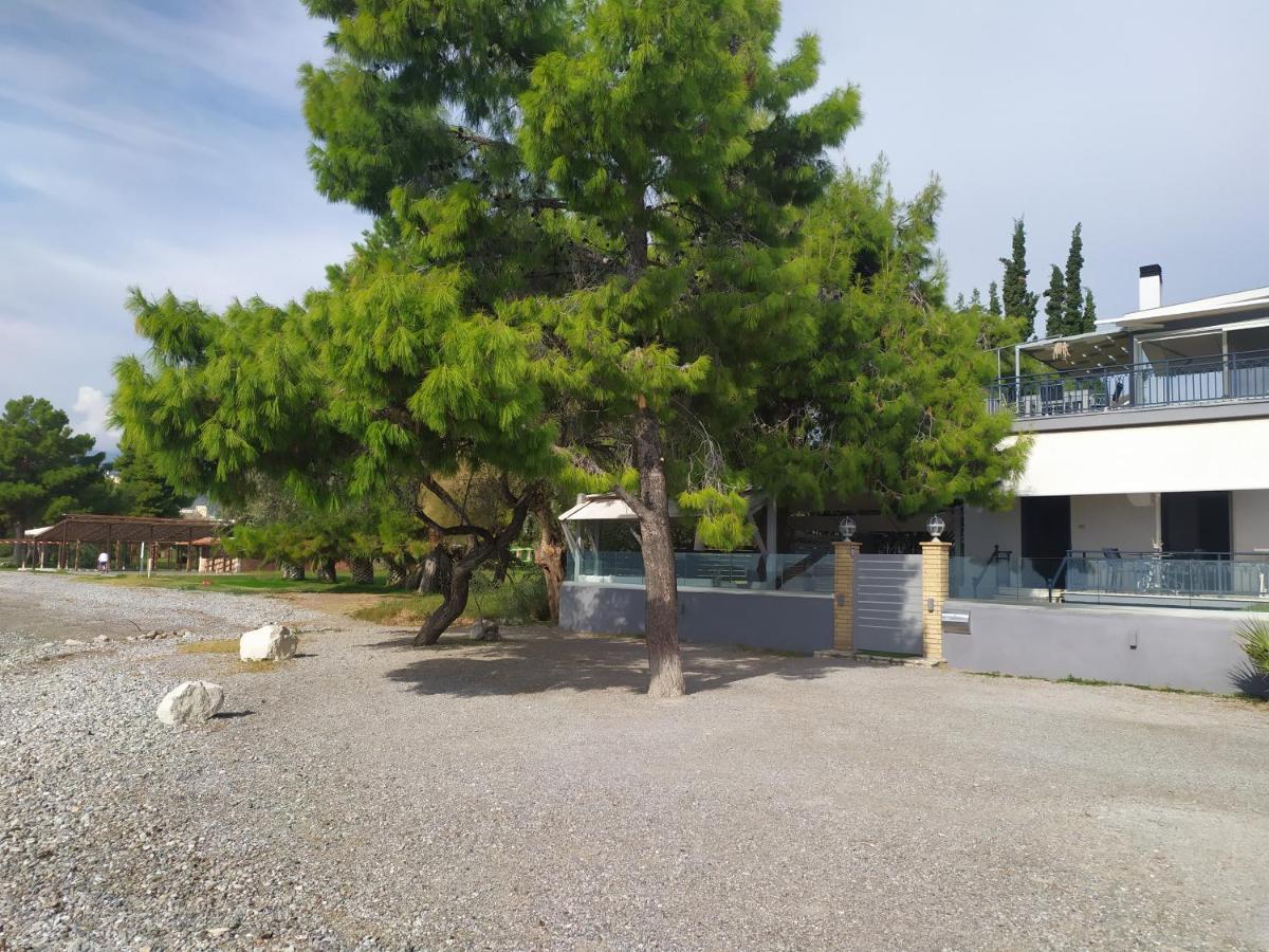 Kalafatis Beach Home Itea Exterior photo